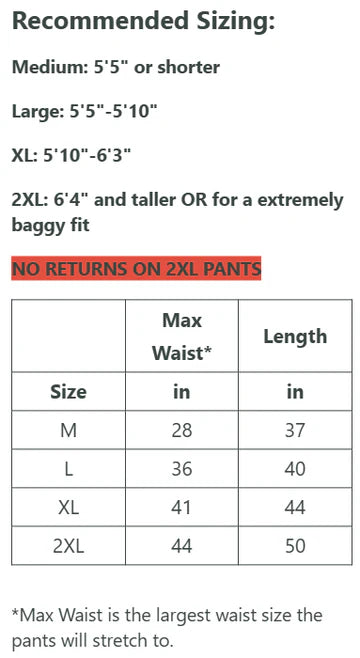 Numbskull Slacker Baggy Snow Pant 2.0 - Black